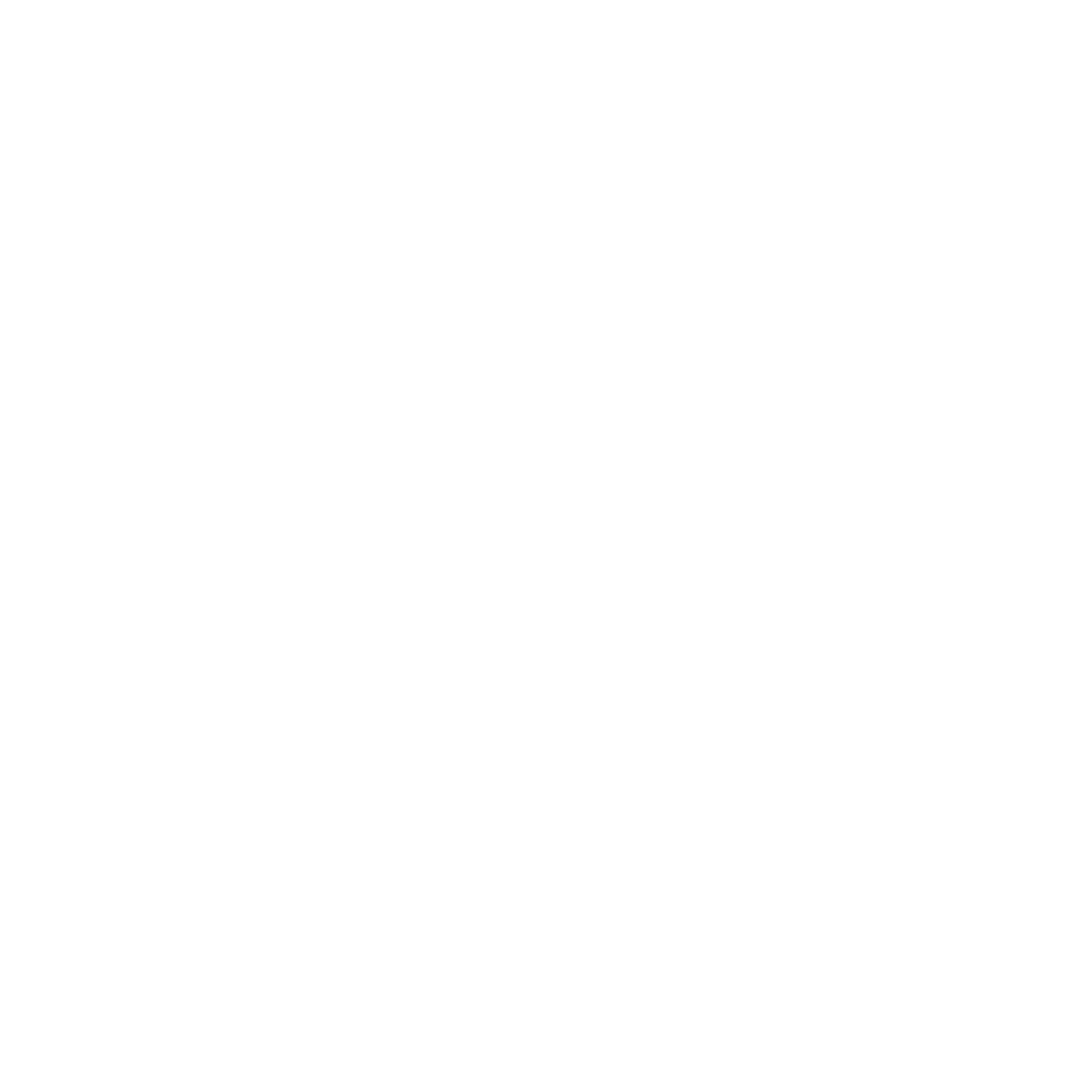 Facebook White Logo